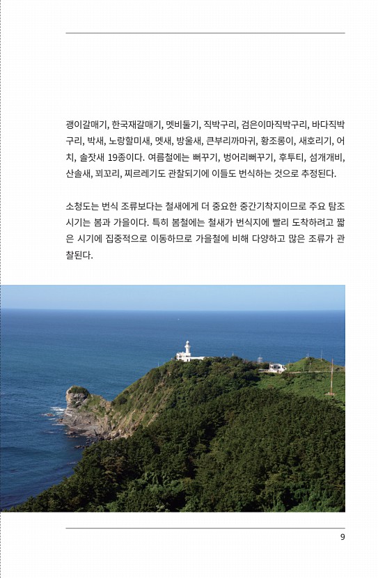 1페이지