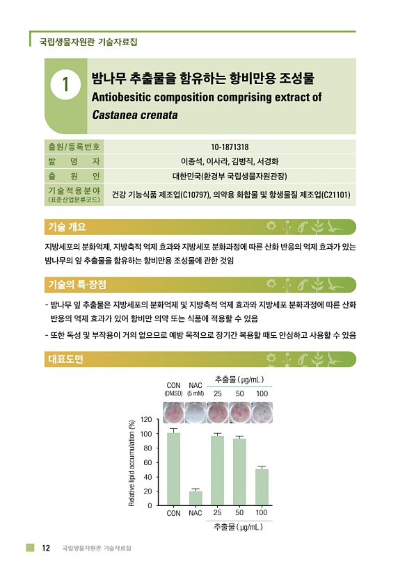 3페이지