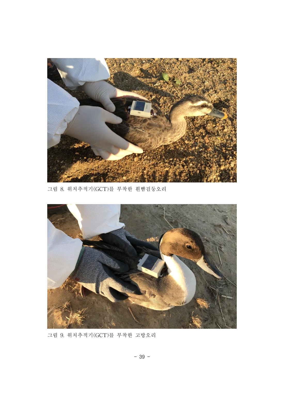 페이지