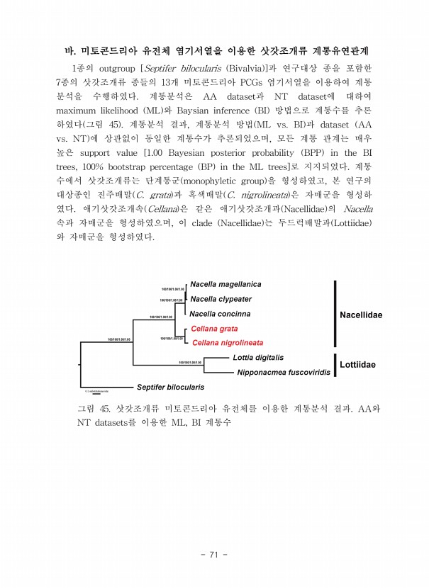 71페이지