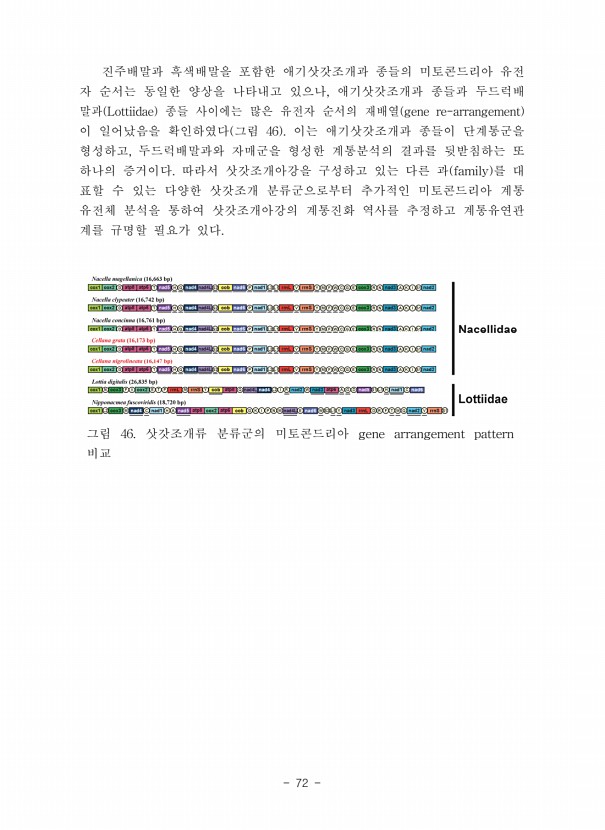 82페이지