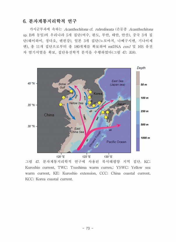 73페이지