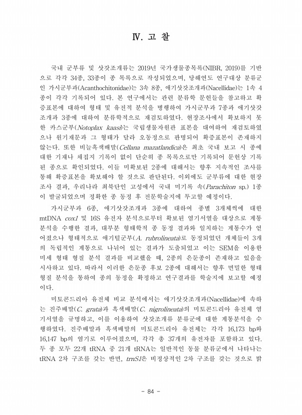 94페이지