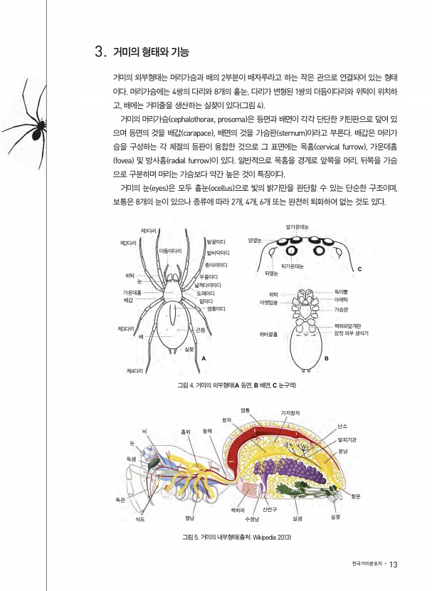 7페이지