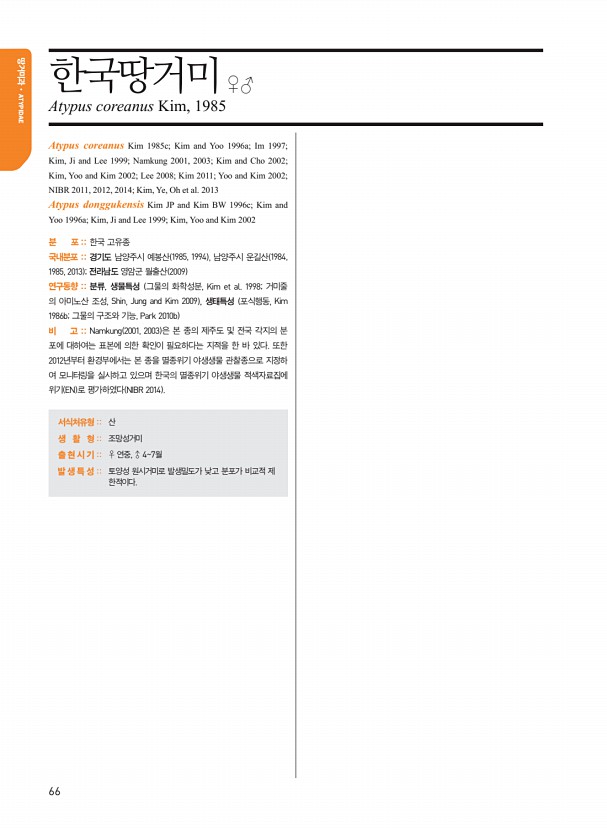 58페이지