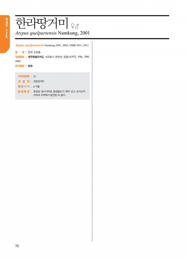 62페이지