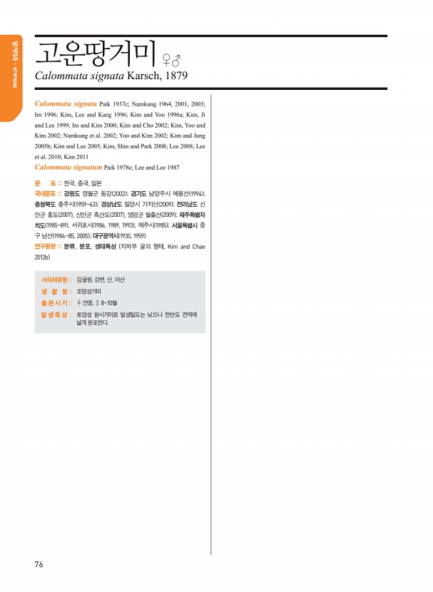62페이지