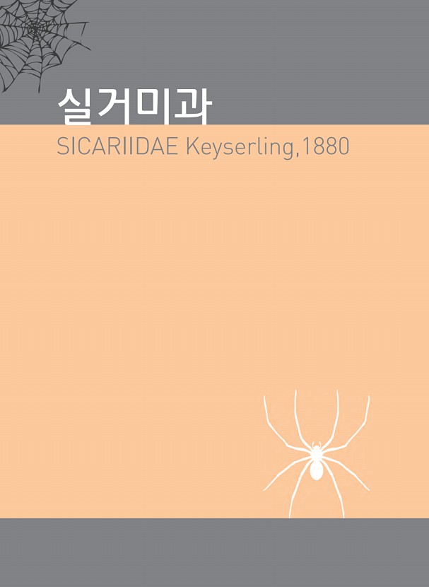 64페이지