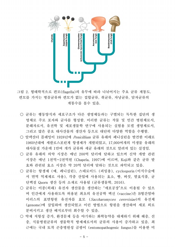 5페이지