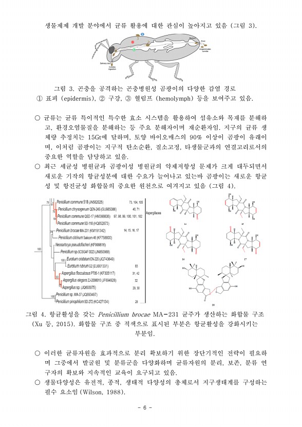 6페이지