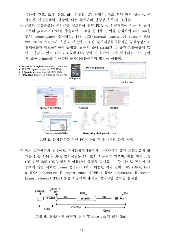 11페이지