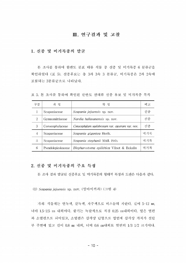 10페이지