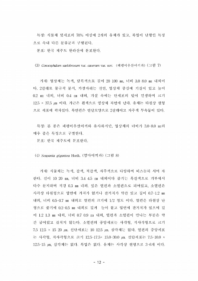 12페이지