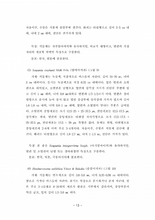 13페이지