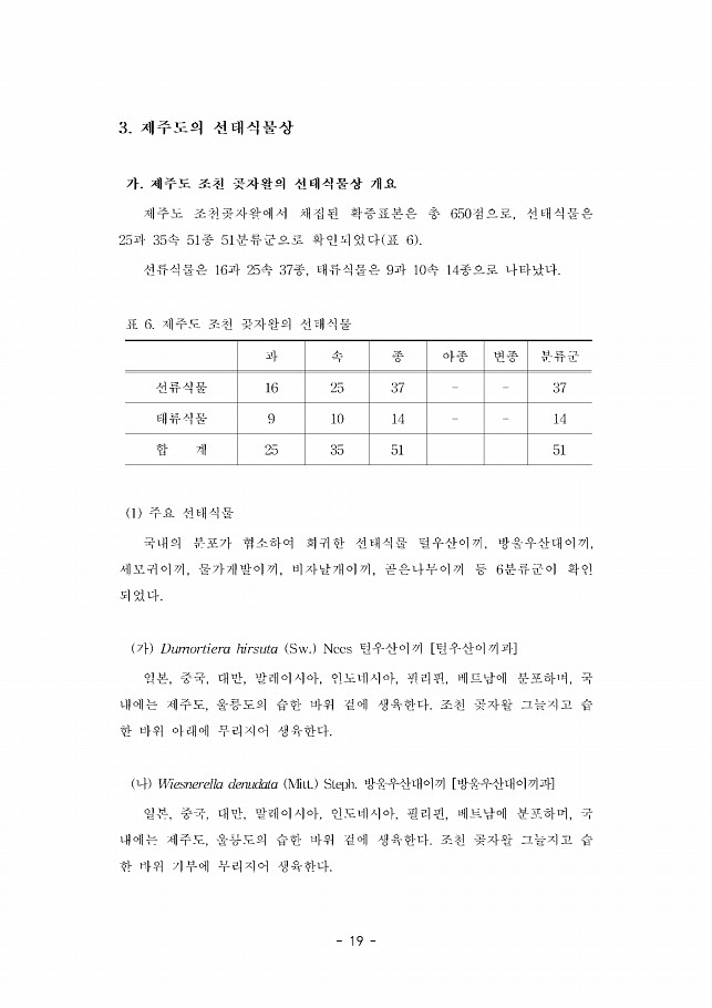 19페이지