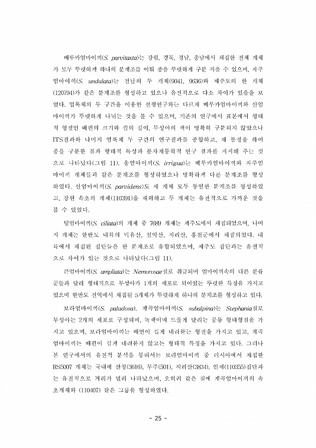 25페이지