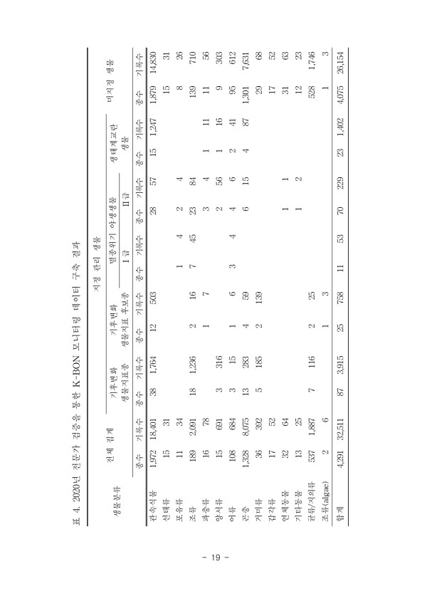 19페이지