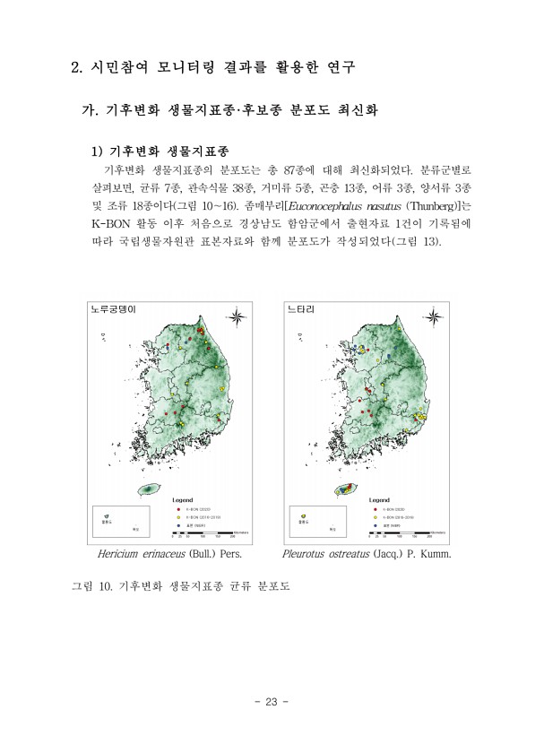 23페이지