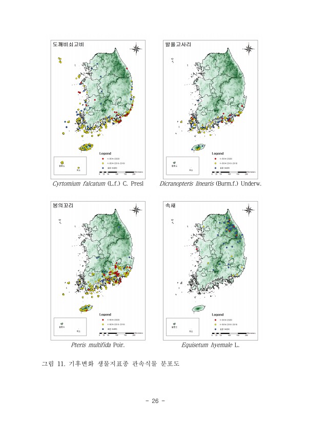 26페이지