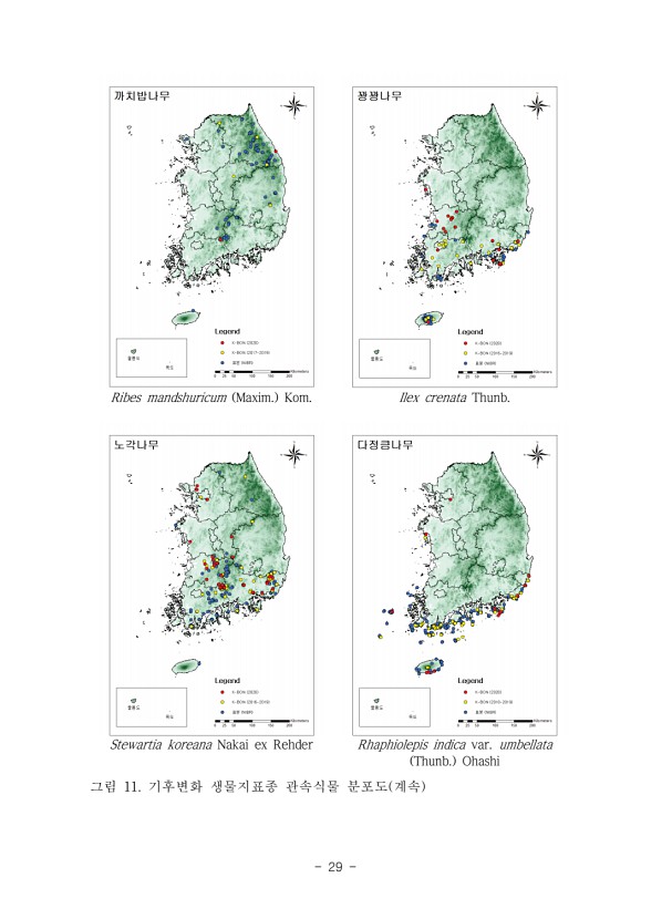 29페이지
