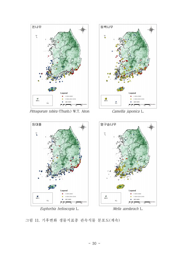 30페이지