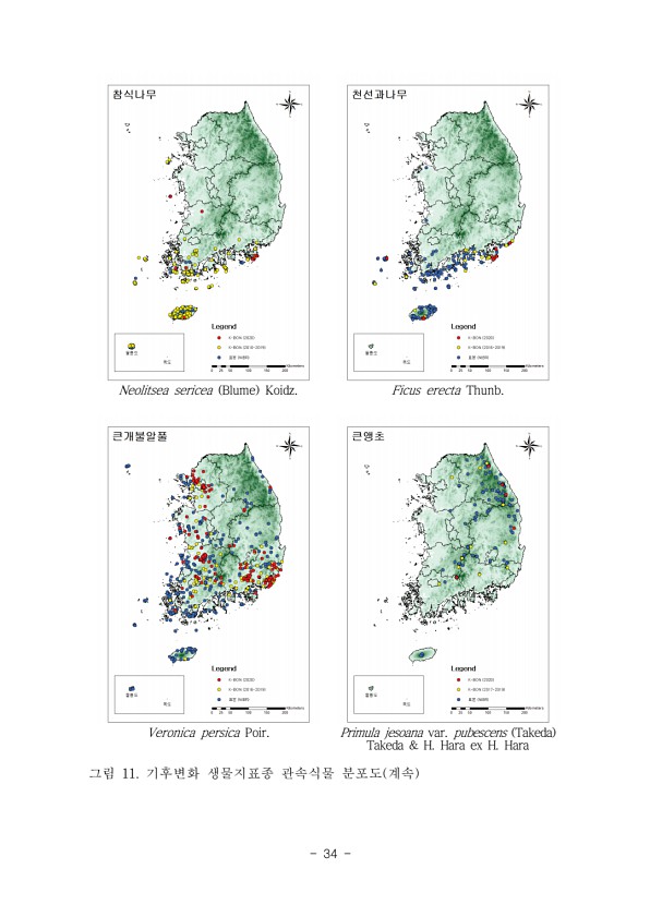 34페이지