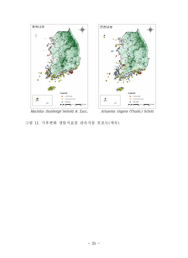 35페이지