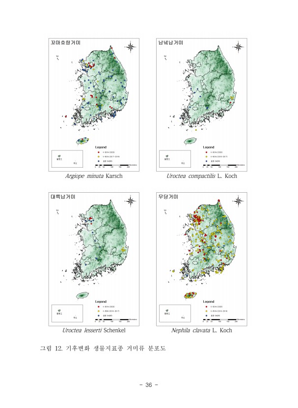 36페이지