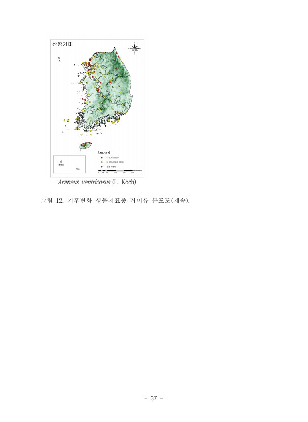 37페이지