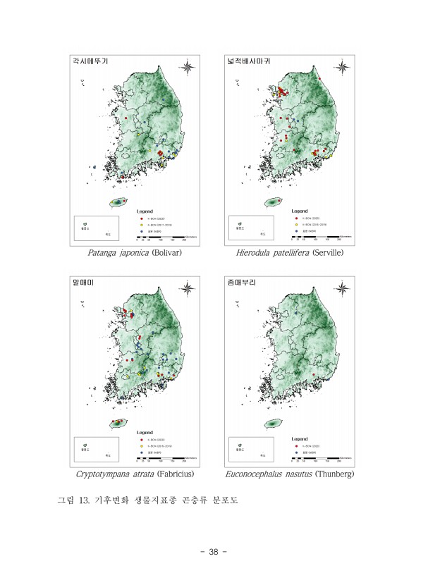 38페이지
