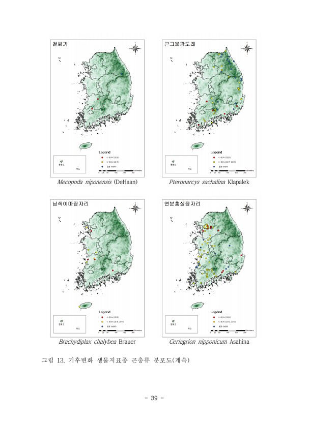 39페이지