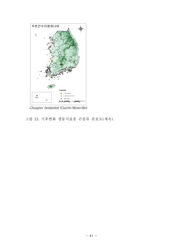 41페이지