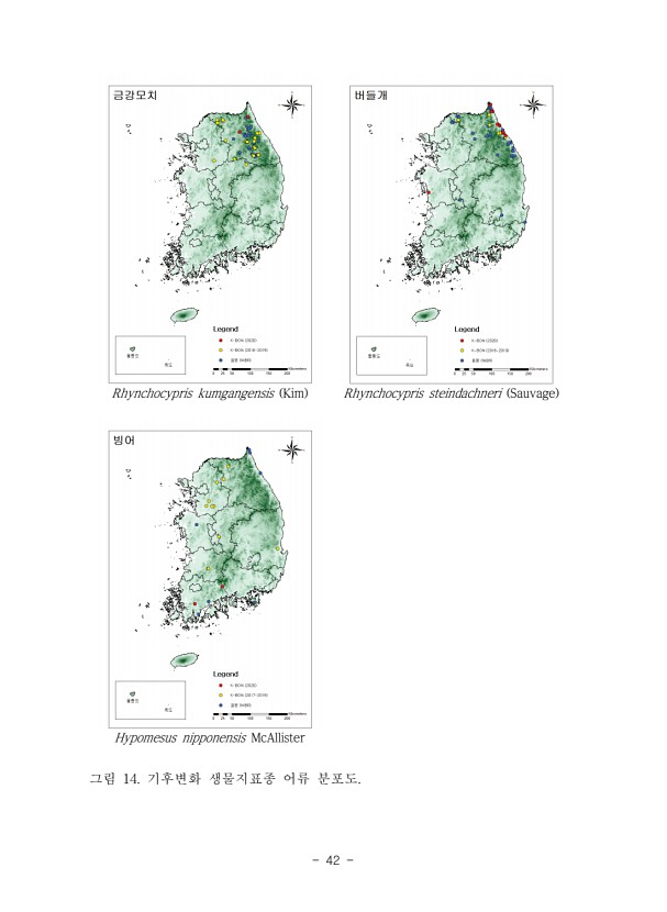 42페이지