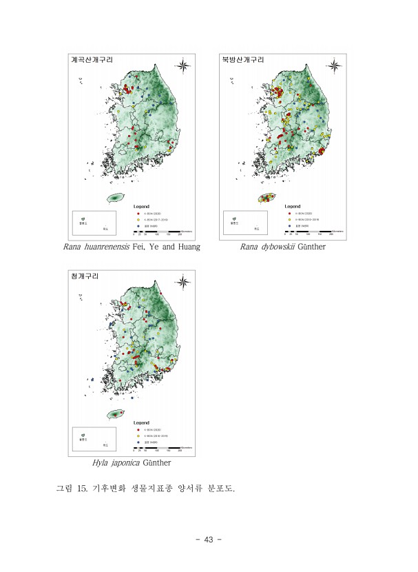 43페이지