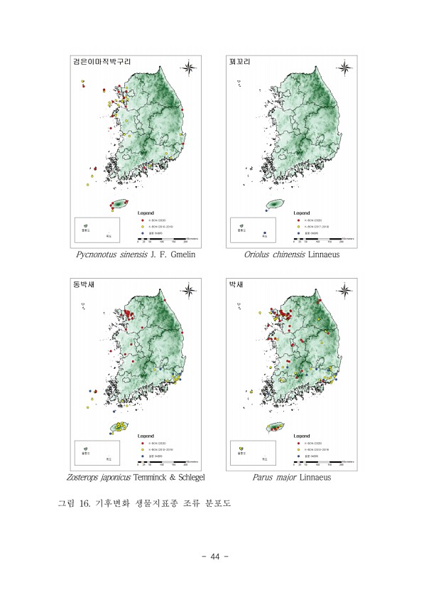 44페이지