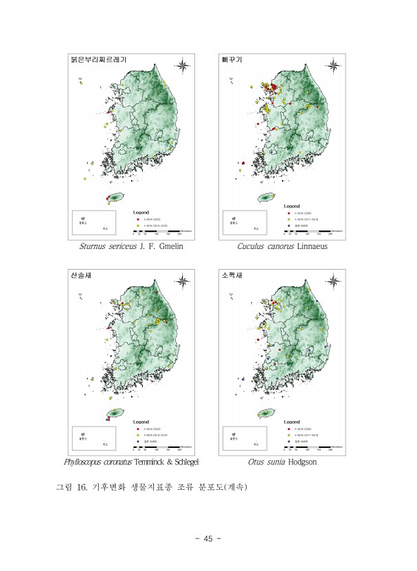 45페이지