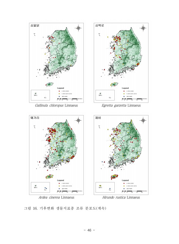 46페이지