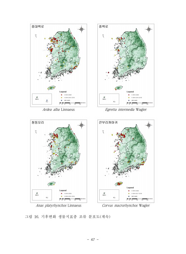 47페이지