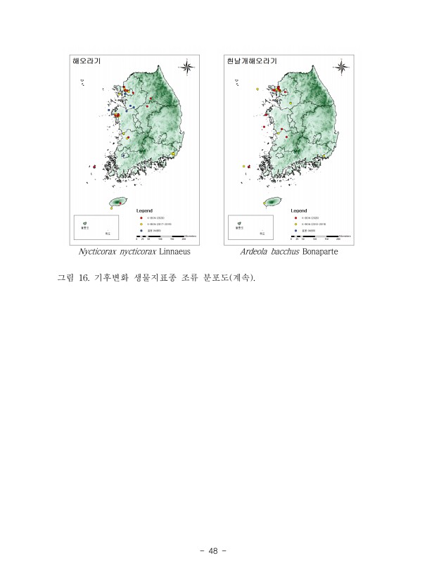 48페이지