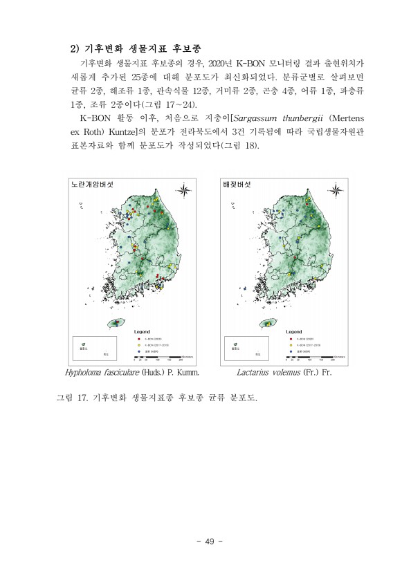49페이지