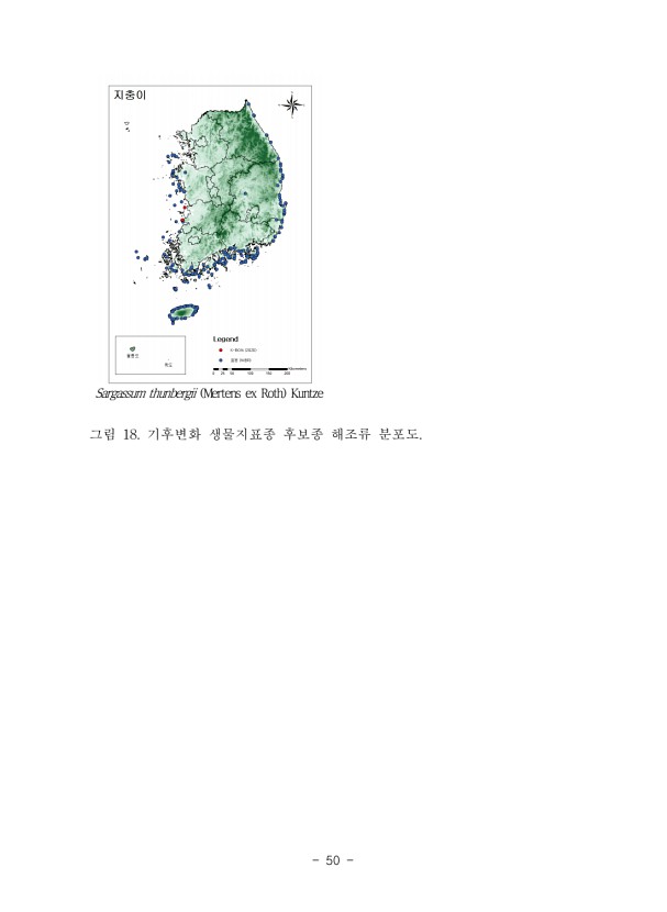 50페이지