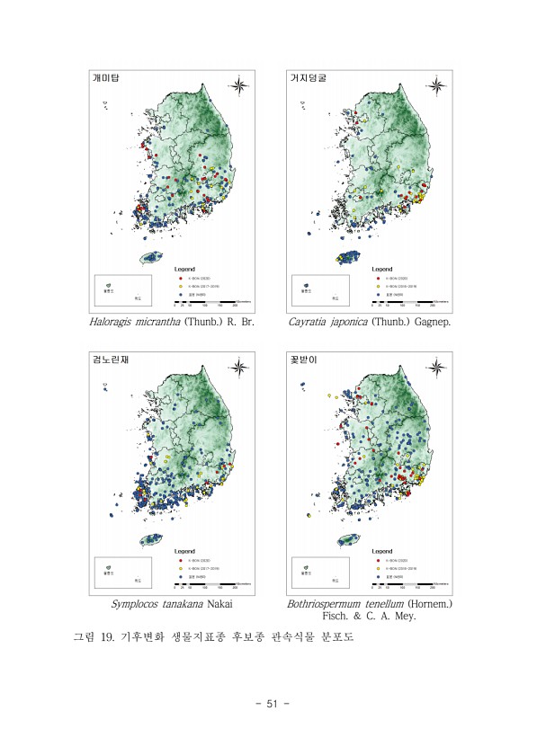 51페이지