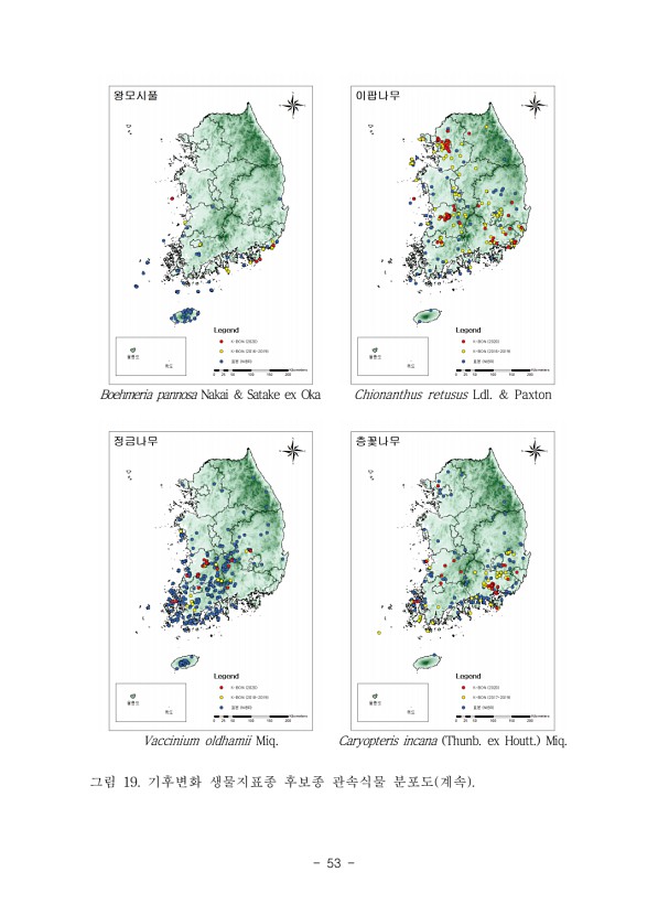 53페이지