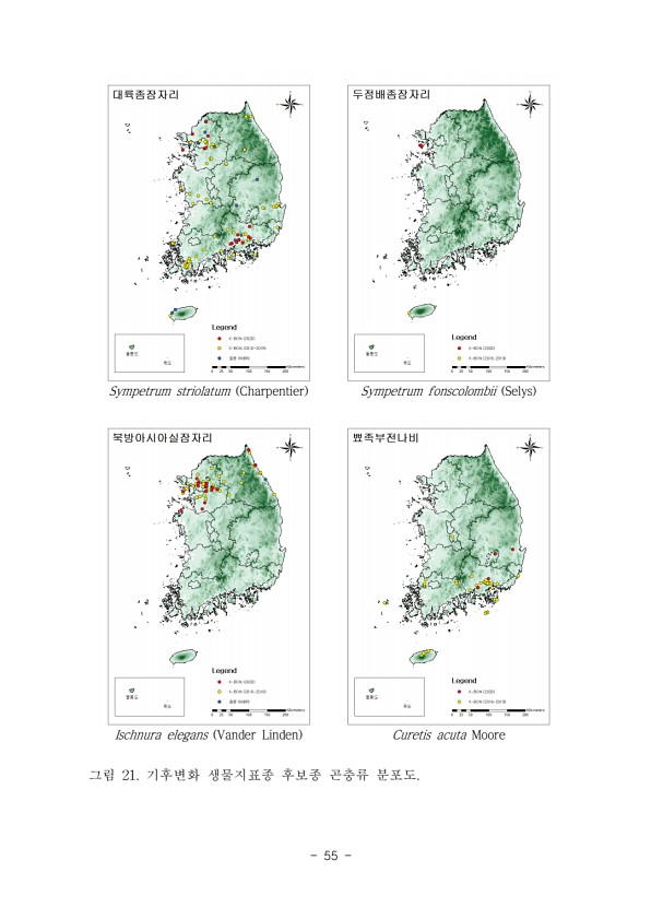 55페이지