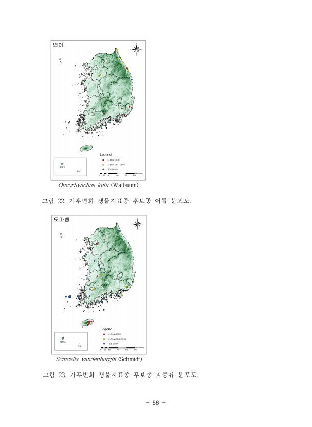 56페이지