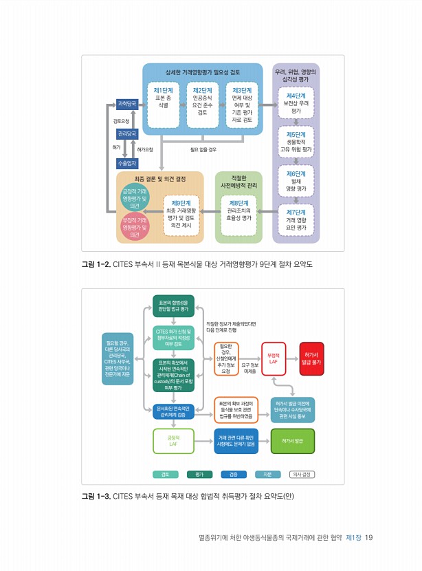 19페이지