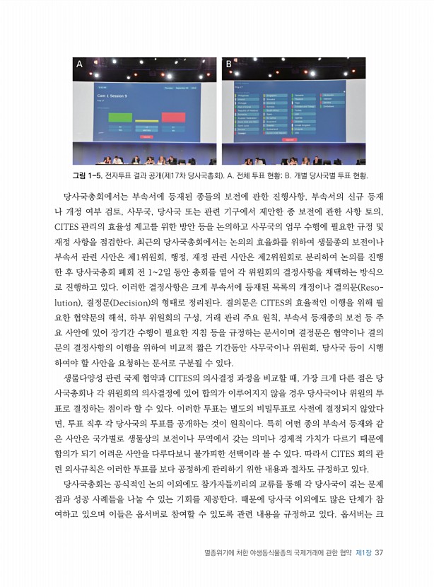 37페이지