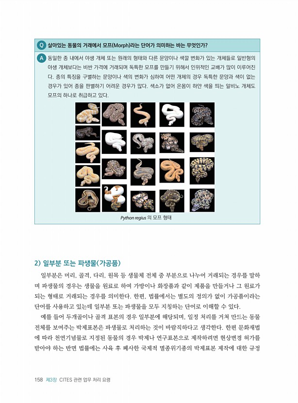 158페이지