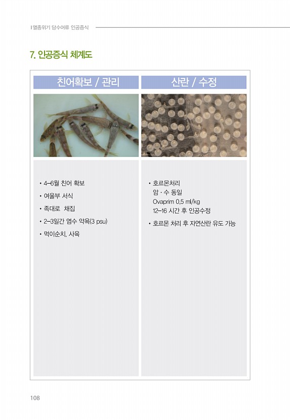 98페이지