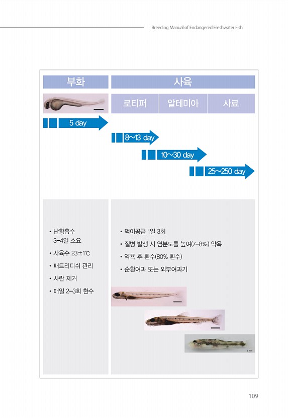 99페이지